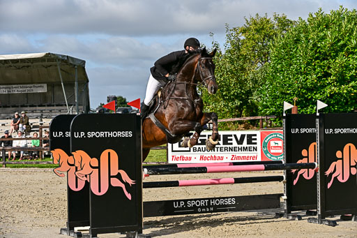 Show Jumping Event Stall Leichle in Schnarup | 16082025 KL A++ SA_093 