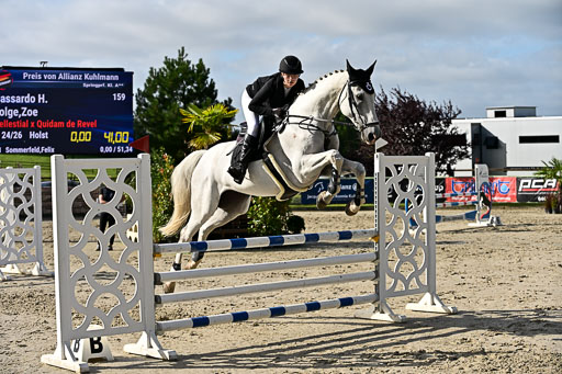 Show Jumping Event Stall Leichle in Schnarup | 16082025 KL A++ SA_103 