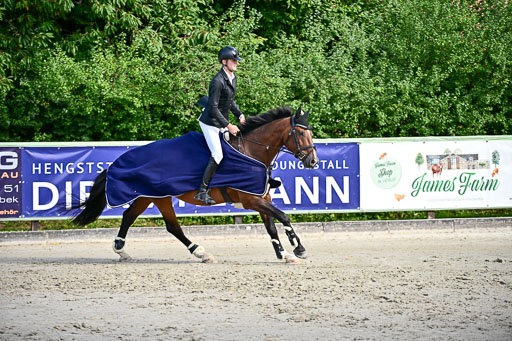 Show Jumping Event Stall Leichle in Schnarup | 16082025 KL A++ SA_114 