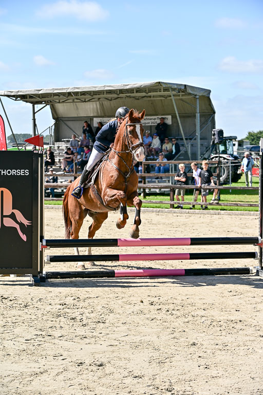  | 16082025 Stiel WB SA _006 
