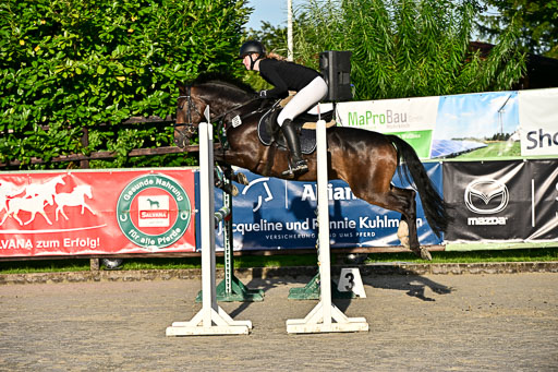 Show Jumping Event Stall Leichle in Schnarup | 17082025 Prf 16 KL A++ _001 