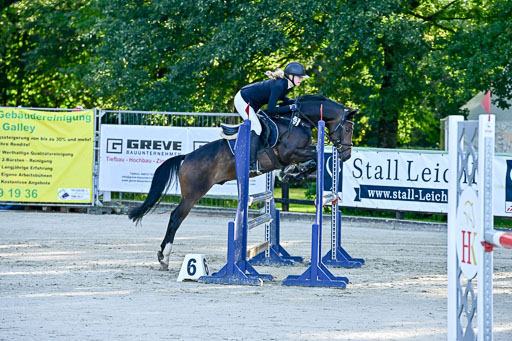 Show Jumping Event Stall Leichle in Schnarup | 17082025 Prf 16 KL A++ _004 