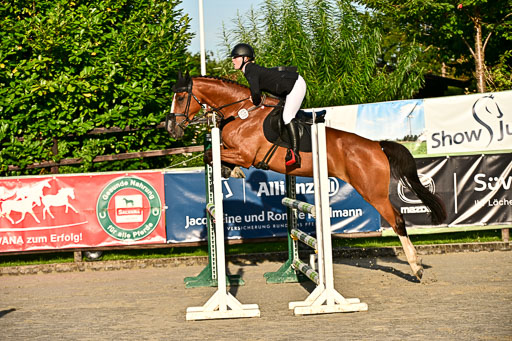 Show Jumping Event Stall Leichle in Schnarup | 17082025 Prf 16 KL A++ _007 