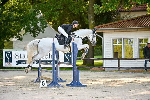 Show Jumping Event Stall Leichle in Schnarup | 17082025 Prf 16 KL A++ _023 