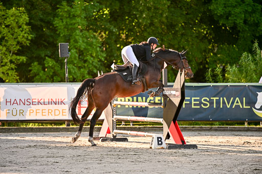 Show Jumping Event Stall Leichle in Schnarup | 17082025 Prf 16 KL A++ _033 