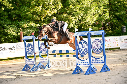 Show Jumping Event Stall Leichle in Schnarup | 17082025 Prf 16 KL A++ _037 