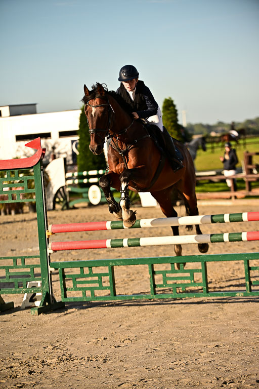 Show Jumping Event Stall Leichle in Schnarup | 17082025 Prf 16 KL A++ _039 