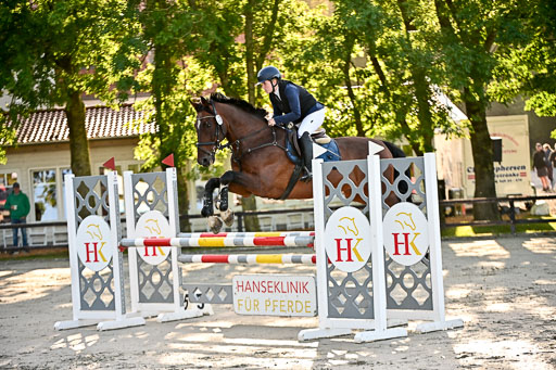 Show Jumping Event Stall Leichle in Schnarup | 17082025 Prf 16 KL A++ _041 