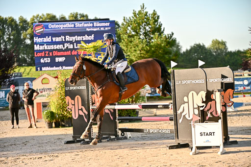 Show Jumping Event Stall Leichle in Schnarup | 17082025 Prf 16 KL A++ _044 