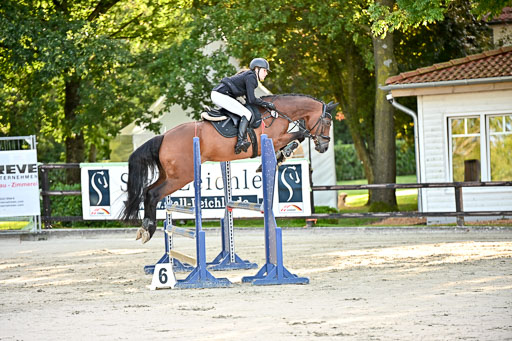 Show Jumping Event Stall Leichle in Schnarup | 17082025 Prf 16 KL A++ _053 