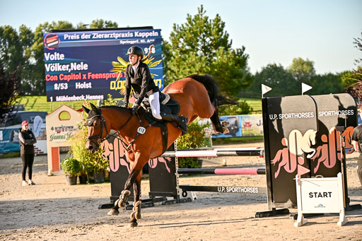 Show Jumping Event Stall Leichle in Schnarup | 17082025 Prf 16 KL A++ _055 