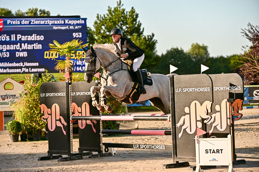 Show Jumping Event Stall Leichle in Schnarup | 17082025 Prf 16 KL A++ _063 