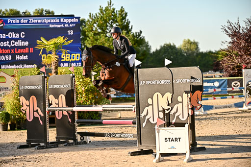 Show Jumping Event Stall Leichle in Schnarup | 17082025 Prf 16 KL A++ _069 