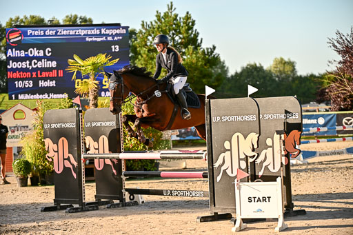 Show Jumping Event Stall Leichle in Schnarup | 17082025 Prf 16 KL A++ _070 