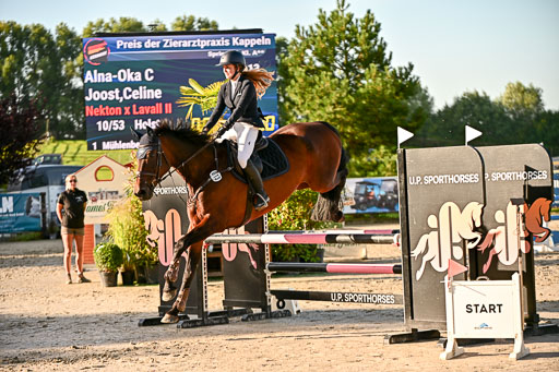 Show Jumping Event Stall Leichle in Schnarup | 17082025 Prf 16 KL A++ _071 