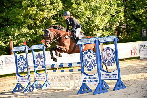 Show Jumping Event Stall Leichle in Schnarup | 17082025 Prf 16 KL A++ _073 
