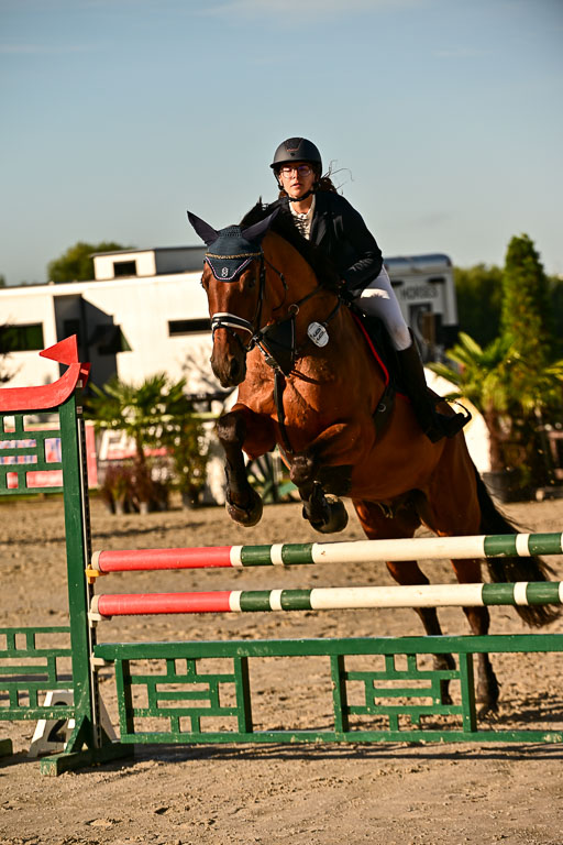 Show Jumping Event Stall Leichle in Schnarup | 17082025 Prf 16 KL A++ _074 