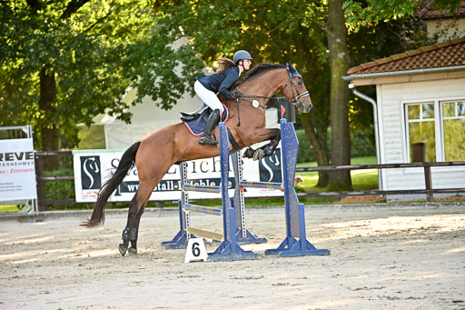 Show Jumping Event Stall Leichle in Schnarup | 17082025 Prf 16 KL A++ _078 
