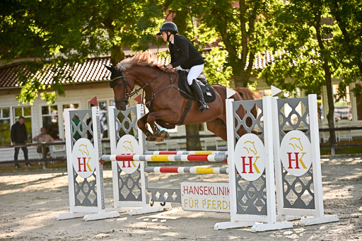 Show Jumping Event Stall Leichle in Schnarup | 17082025 Prf 16 KL A++ _095 