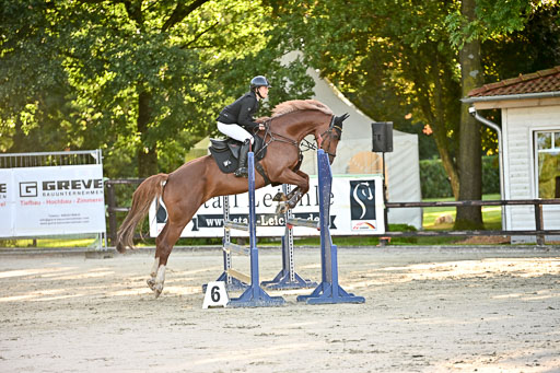 Show Jumping Event Stall Leichle in Schnarup | 17082025 Prf 16 KL A++ _096 
