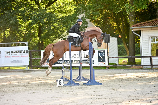 Show Jumping Event Stall Leichle in Schnarup | 17082025 Prf 16 KL A++ _097 