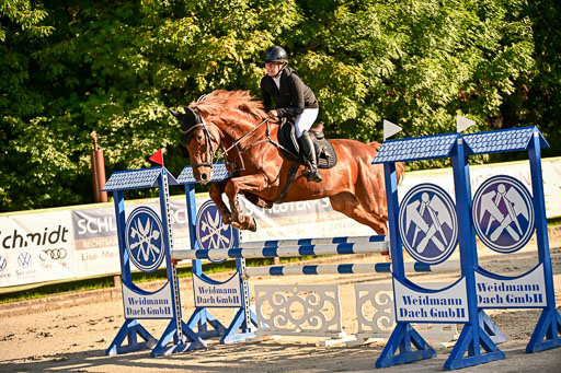 Show Jumping Event Stall Leichle in Schnarup | 17082025 Prf 16 KL A++ _101 