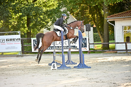 Show Jumping Event Stall Leichle in Schnarup | 17082025 Prf 16 KL A++ _103 