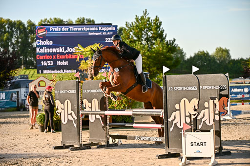 Show Jumping Event Stall Leichle in Schnarup | 17082025 Prf 16 KL A++ _109 