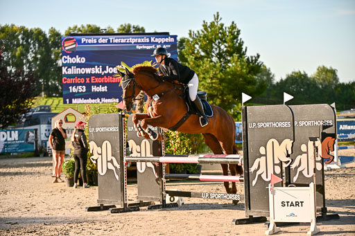 Show Jumping Event Stall Leichle in Schnarup | 17082025 Prf 16 KL A++ _110 