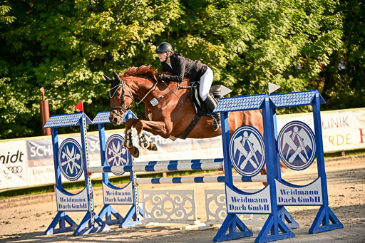 Show Jumping Event Stall Leichle in Schnarup | 17082025 Prf 16 KL A++ _111 