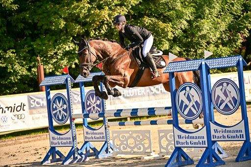 Show Jumping Event Stall Leichle in Schnarup | 17082025 Prf 16 KL A++ _132 