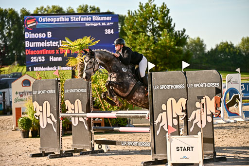 Show Jumping Event Stall Leichle in Schnarup | 17082025 Prf 16 KL A++ _135 