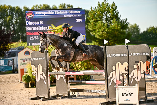 Show Jumping Event Stall Leichle in Schnarup | 17082025 Prf 16 KL A++ _136 