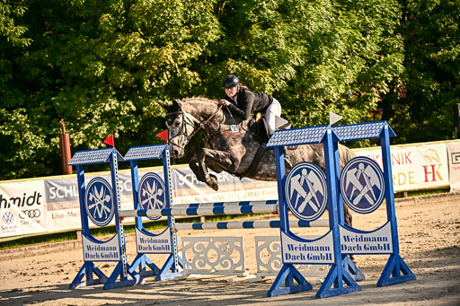 Show Jumping Event Stall Leichle in Schnarup | 17082025 Prf 16 KL A++ _137 
