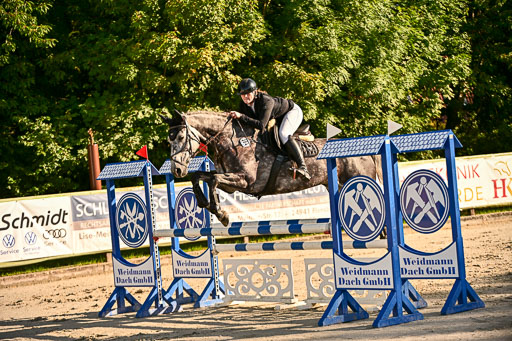 Show Jumping Event Stall Leichle in Schnarup | 17082025 Prf 16 KL A++ _138 
