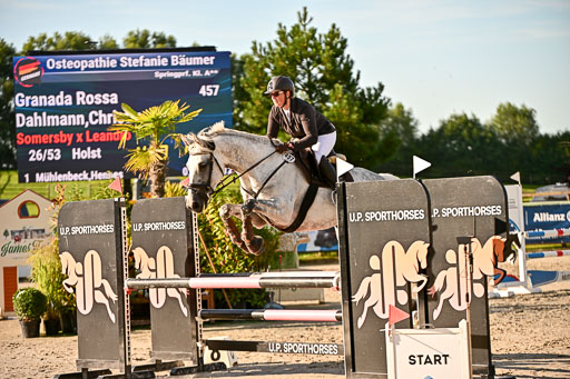 Show Jumping Event Stall Leichle in Schnarup | 17082025 Prf 16 KL A++ _146 