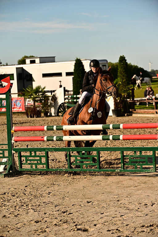 Show Jumping Event Stall Leichle in Schnarup | 17082025 Prf 16 KL A++ _154 