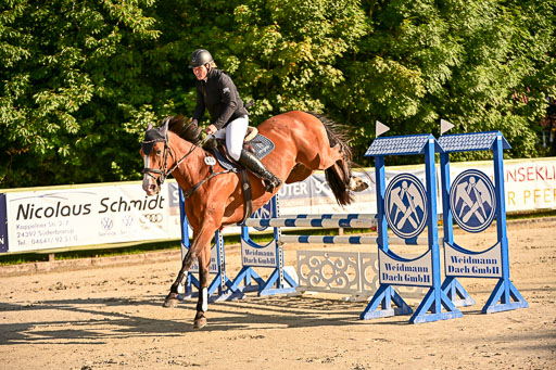 Show Jumping Event Stall Leichle in Schnarup | 17082025 Prf 16 KL A++ _159 