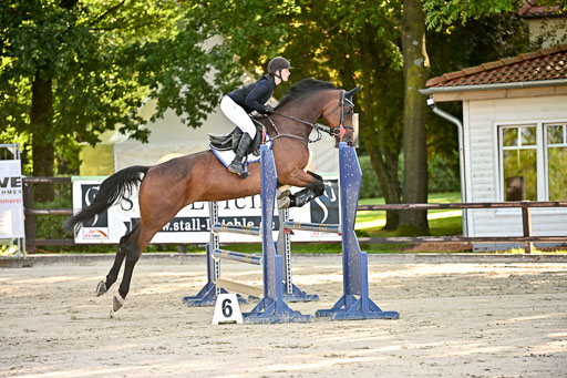 Show Jumping Event Stall Leichle in Schnarup | 17082025 Prf 16 KL A++ _162 