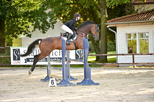 Show Jumping Event Stall Leichle in Schnarup | 17082025 Prf 16 KL A++ _163 