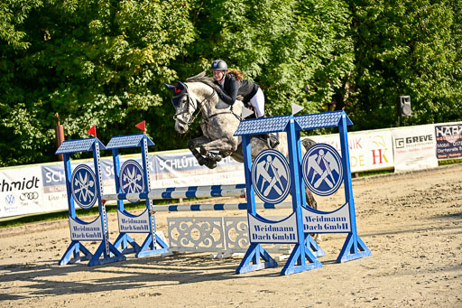 Show Jumping Event Stall Leichle in Schnarup | 17082025 Prf 16 KL A++ _171 