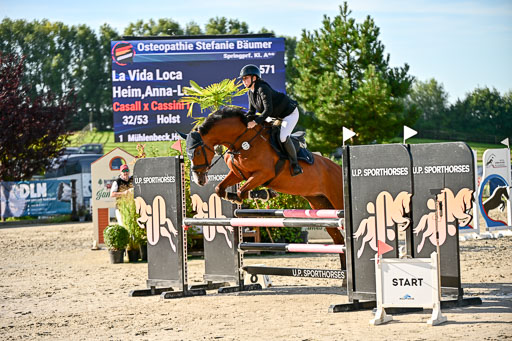 Show Jumping Event Stall Leichle in Schnarup | 17082025 Prf 16 KL A++ _176 