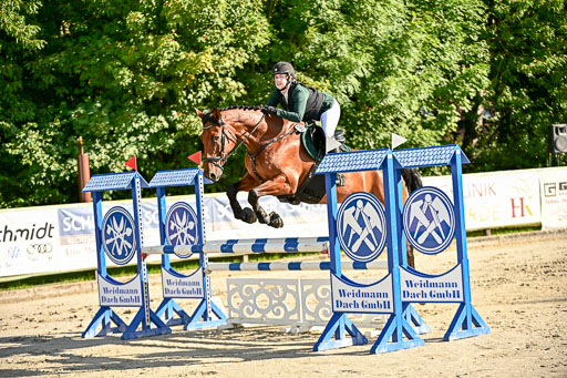 Show Jumping Event Stall Leichle in Schnarup | 17082025 Prf 16 KL A++ _183 