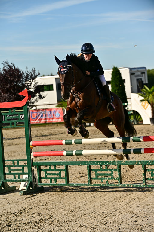 Show Jumping Event Stall Leichle in Schnarup | 17082025 Prf 16 KL A++ _184 