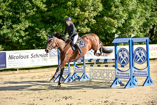 Show Jumping Event Stall Leichle in Schnarup | 17082025 Prf 16 KL A++ _188 