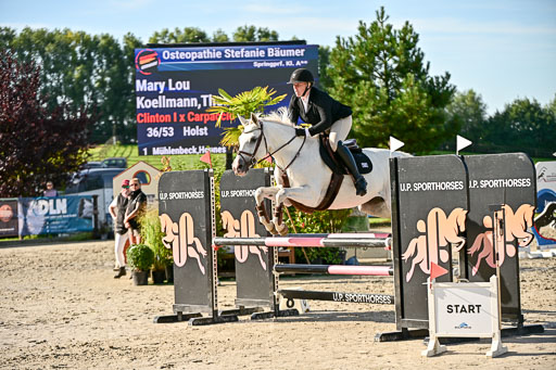 Show Jumping Event Stall Leichle in Schnarup | 17082025 Prf 16 KL A++ _197 