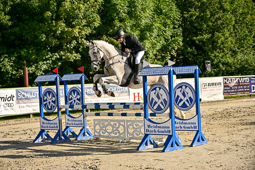 Show Jumping Event Stall Leichle in Schnarup | 17082025 Prf 16 KL A++ _205 