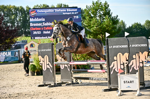 Show Jumping Event Stall Leichle in Schnarup | 17082025 Prf 16 KL A++ _214 