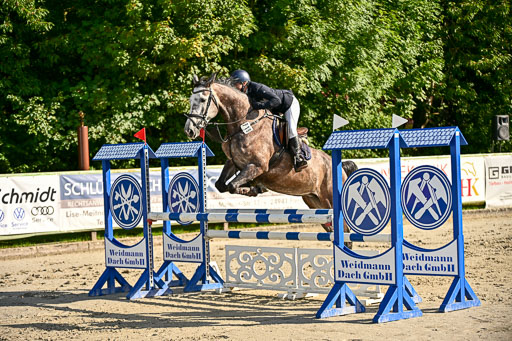 Show Jumping Event Stall Leichle in Schnarup | 17082025 Prf 16 KL A++ _216 