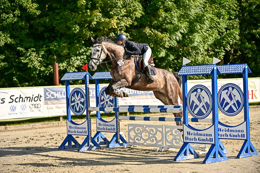 Show Jumping Event Stall Leichle in Schnarup | 17082025 Prf 16 KL A++ _217 
